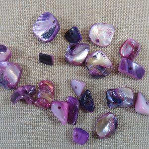 Perles coquille nacré violet chips forme irrégulière – lot de 10