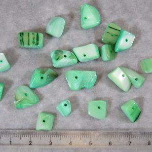 Perles coquille nacré vert chips forme irrégulière – lot de 10