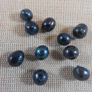 Perles de culture eau douce nacré noir – lot de 10