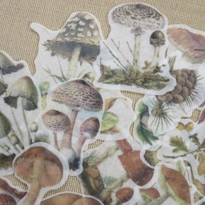 Stickers automne champignon papier autocollant scrapbooking – 30pcs