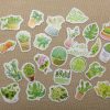 Stickers plante cactus agrume scrapbooking autocollant / 25pcs