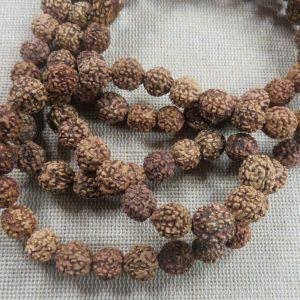 Perles graine Rudraksha Bodhi 8mm – lot de 20