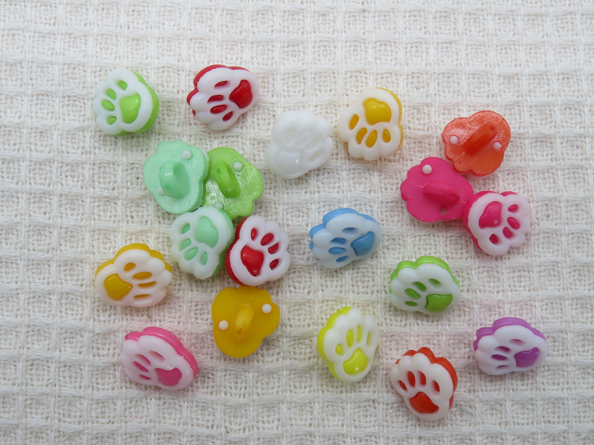 Boutons patte de chat multicolore acrylique 13mm