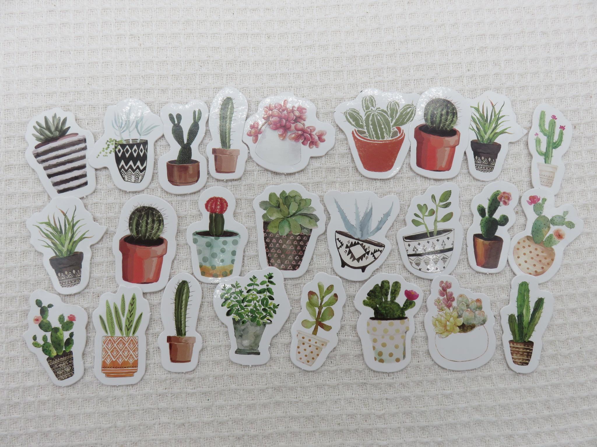 Stickers cactus plante grasse scrapbooking autocollant